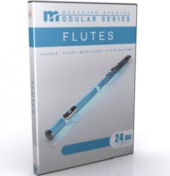 Westgate Studios Modular Series Flutes KONTAKT-AMPLiFYiSO screenshot