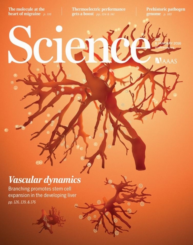 Science – 8 January 2016-P2P