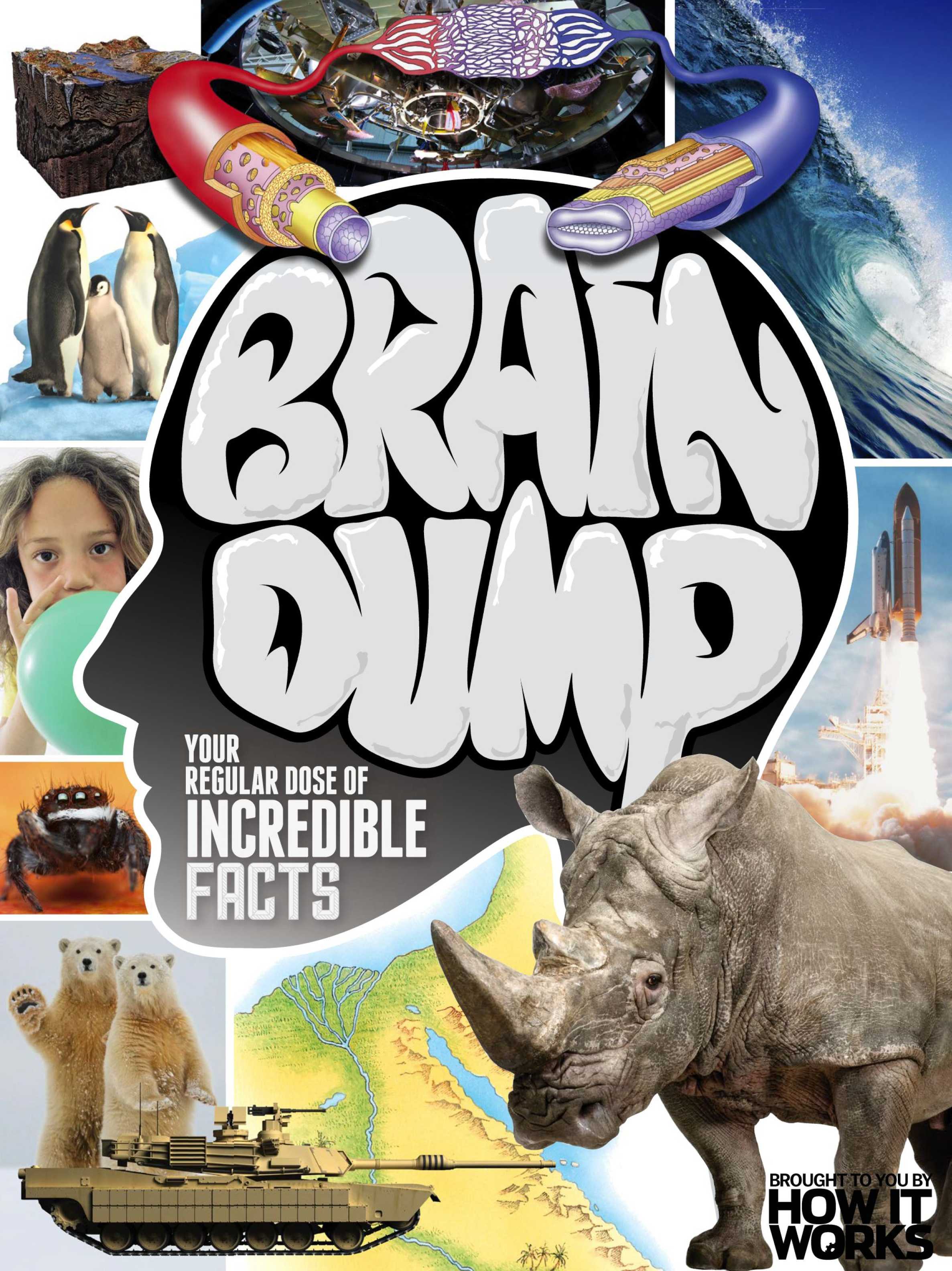 How It Works: Brain Dump – Issue 32, 2015-P2P