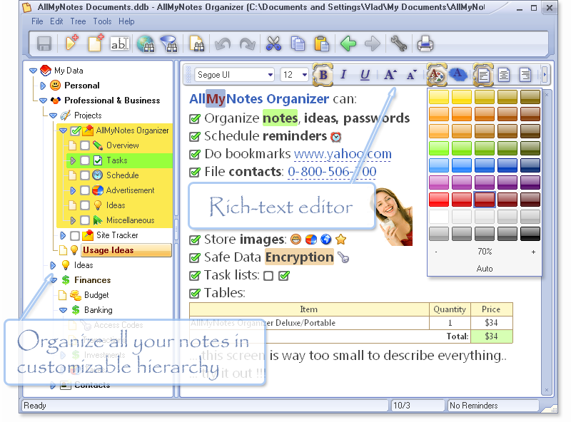 AllMyNotes Organizer Deluxe 2.69 Build 544 Multilingual + Portable