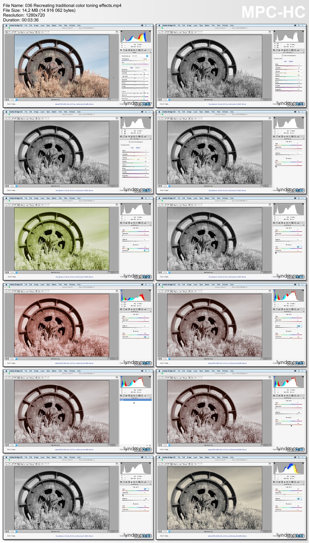 Lynda - Adobe Camera Raw Essential Training