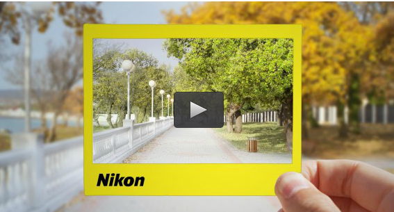 Beginner Nikon Digital SLR (DSLR) Photography