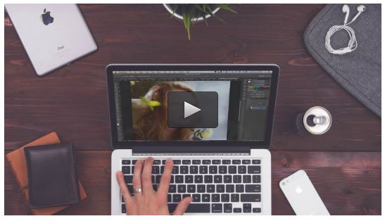 Udemy – Learn Web Design and Start Your Freelance Business