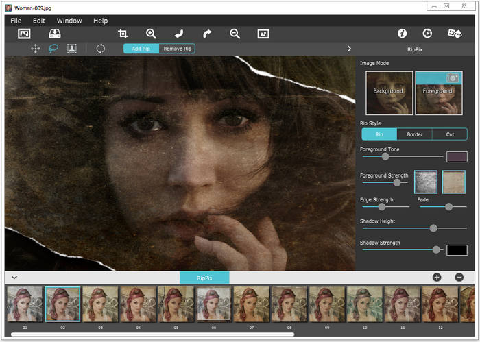 JixiPix RipPix 1.00 (x86/x64)