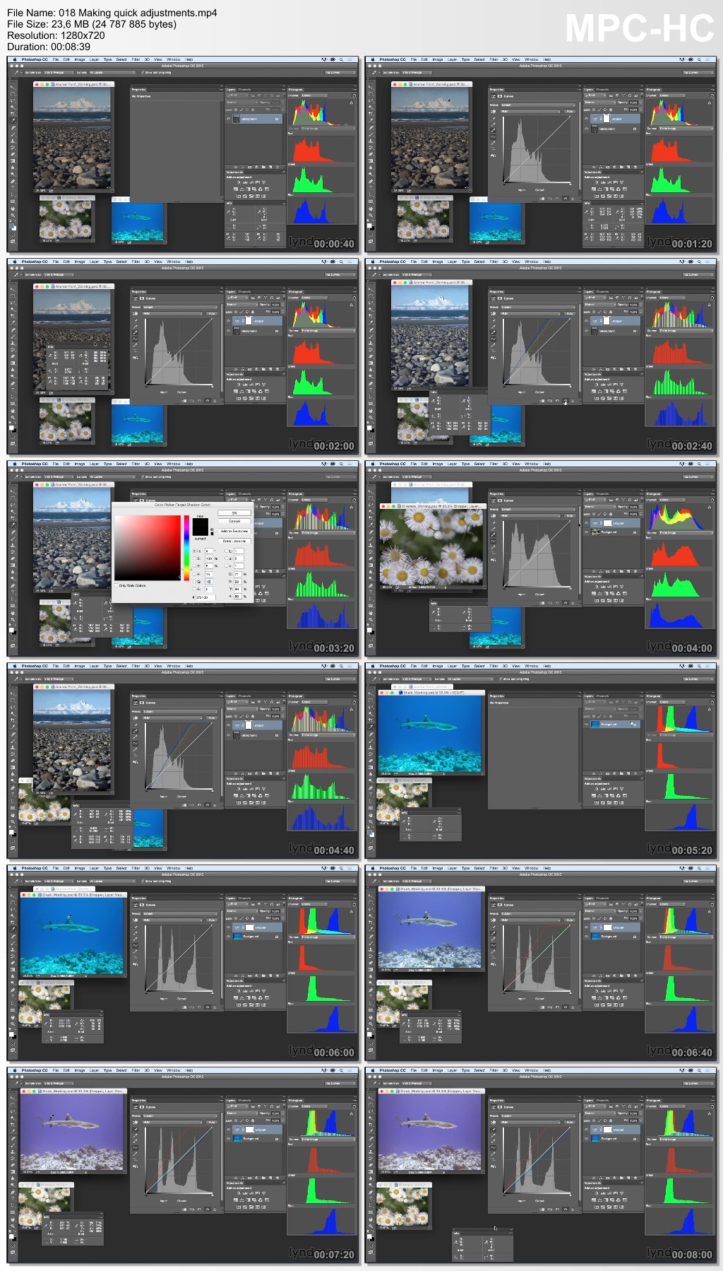 Lynda - Exploring Photoshop: Mastering Curves