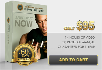 Guitar Learning Revolution Series Basic Course with Clause Levin (2015)