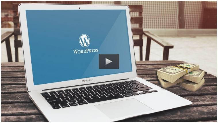  WordPress Profits: WordPress Marketing Plugins and Tools 