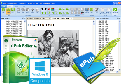 iStonsoft ePub Editor Pro 2.1.124