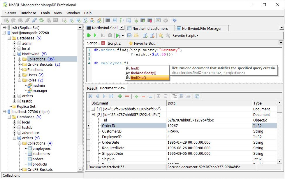 NoSQL Manager for MongoDB Pro 3.1.0.5