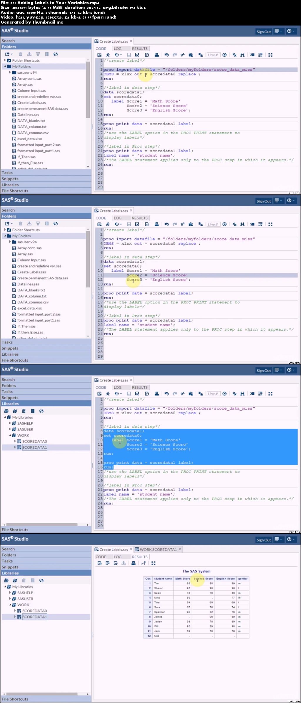 SAS Base Programming Essentials on Data Manipulation