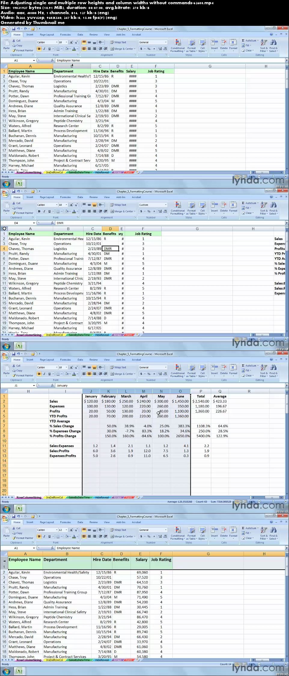 Lynda - Excel 2007: Advanced Formatting Techniques