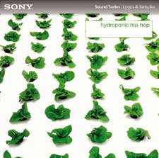 Sony Creative Hydroponic Hip Hop WAV-P2P screenshot