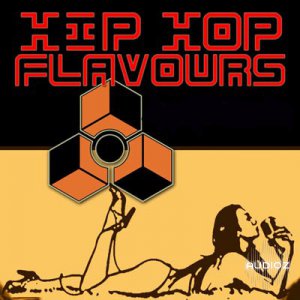 Sonic Flavours Hip Hop Flavours MULTIFORMAT DVDR-DYNAMiCS screenshot