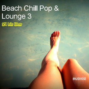 Busloops Beach Chill Pop and Lounge 3 WAV-AUDIOSTRiKE screenshot