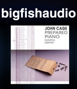 Big Fish Audio John Cage Prepared Piano MULTIFORMAT screenshot