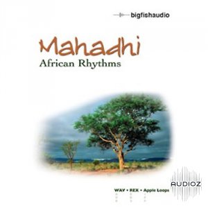 Big Fish Audio Mahadhi African Rhythms ACID WAV REX AIFF screenshot