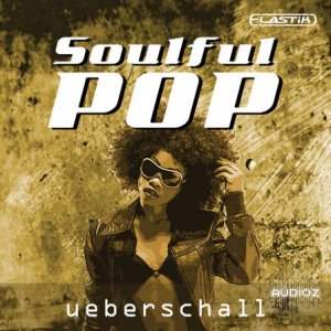 Ueberschall Soulful Pop Elastik SoundBank DVDR-KRock screenshot