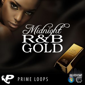 Prime Loops Midnight RnB Gold WAV screenshot