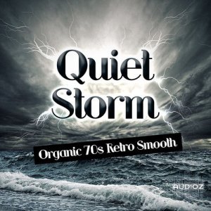 Track Star Quiet Storm KONTAKT MULTiFORMAT-MAGNETRiXX screenshot