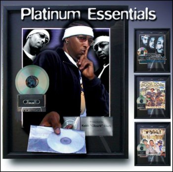 Big Fish Audio Platinum Essentials Vol.2 ACID WAV REX AiFF DVDR-DYNAMiCS screenshot