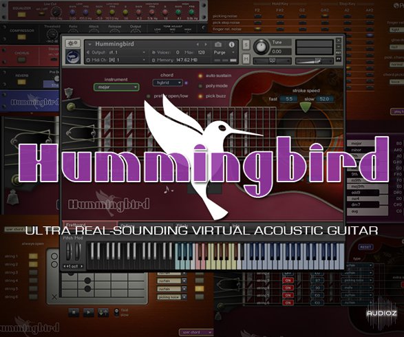 Prominy Hummingbird Acoustic Guitar KONTAKT